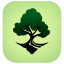 TreedV logo